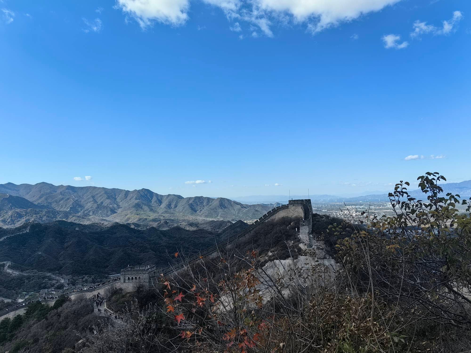 刘明头像