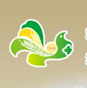 山东中医药大学第二附属医院标志