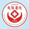 延安大学咸阳医院标志