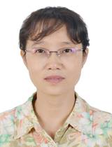 杨萍头像