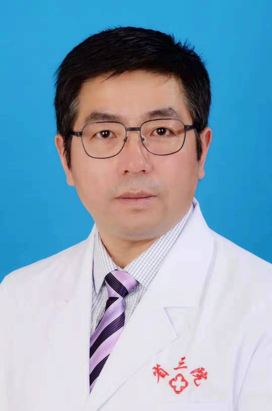 金鸿雁头像