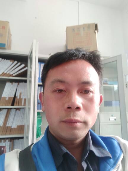 龙本灯头像