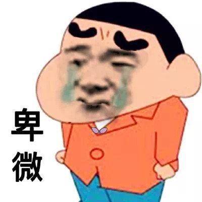 左飞龙头像