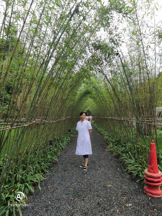 柏龙芬头像