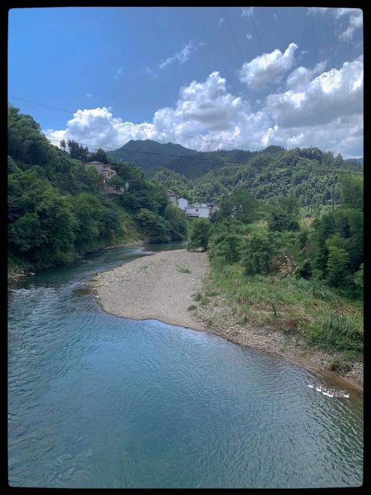 廖鸿伟头像