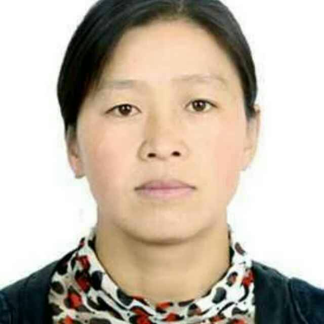 杨德兰头像