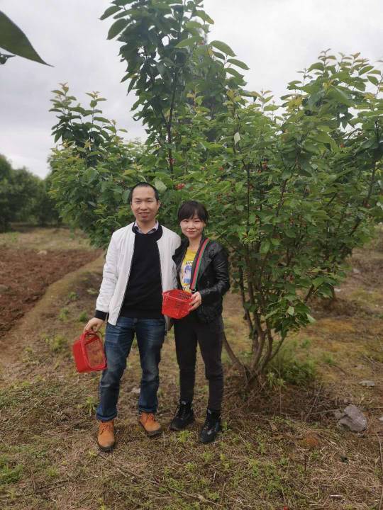 张怀荣头像