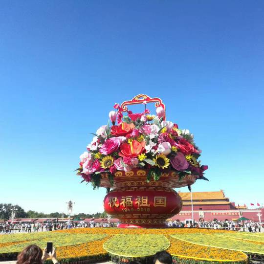 王民开头像