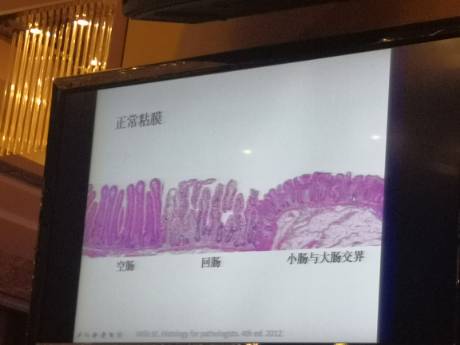 王敏兰头像