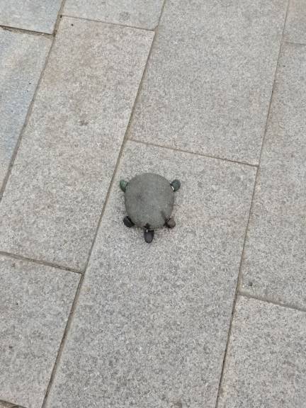 晏桂林头像