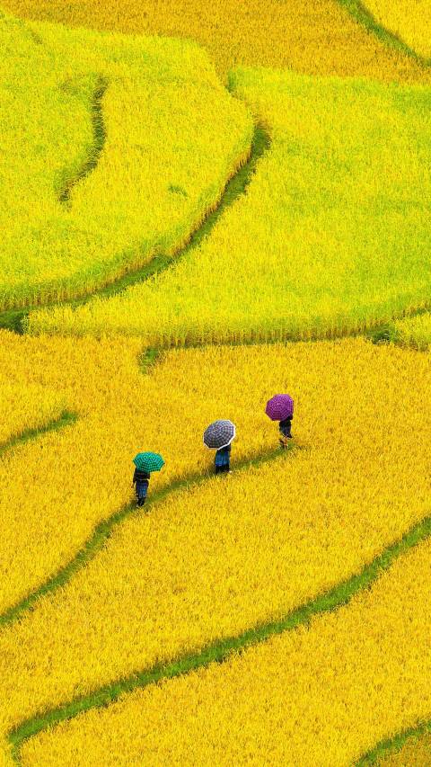 李立巍头像