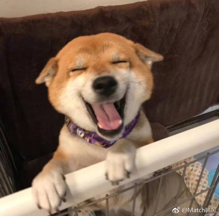 庞军头像