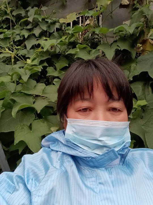 马敏头像