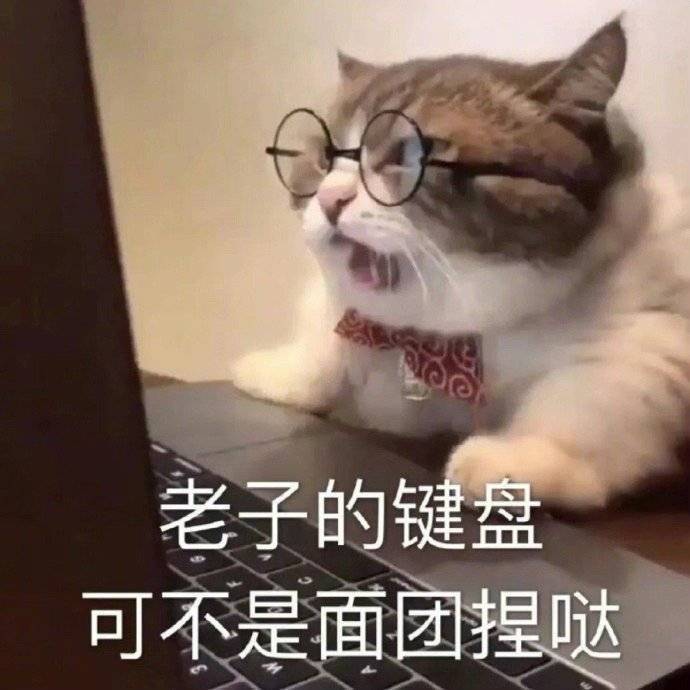 林麟头像