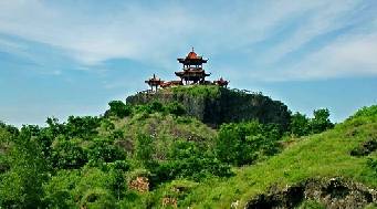 杨红华头像