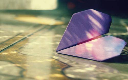 蒋珍兵头像