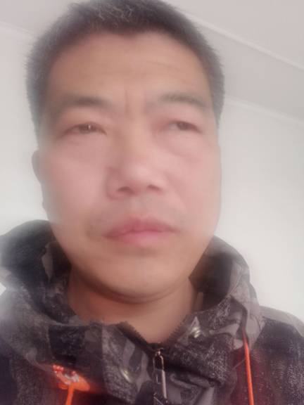 王磊头像