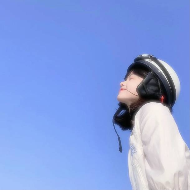 陈情头像