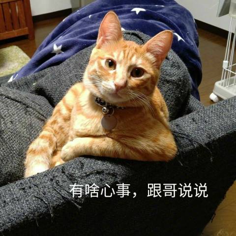 魏声远头像