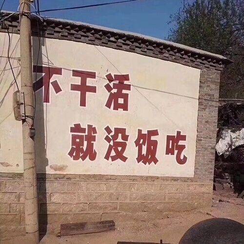 陈青头像