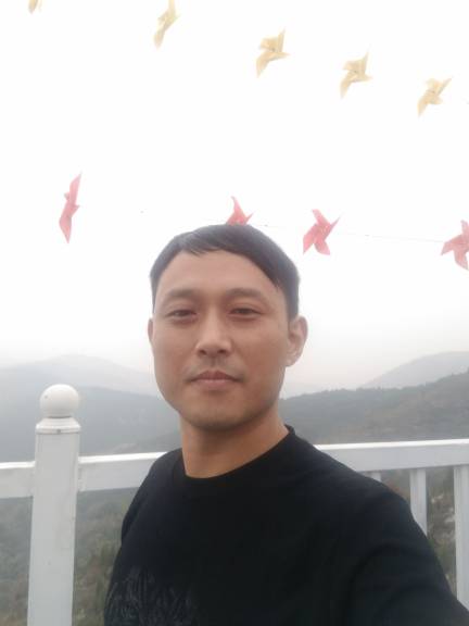 陈海波头像