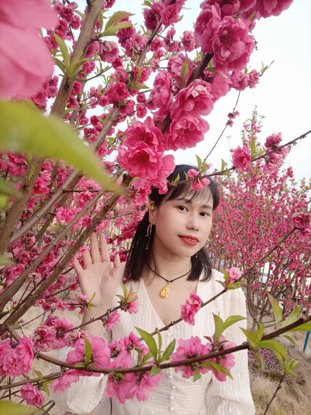 肖红艳头像