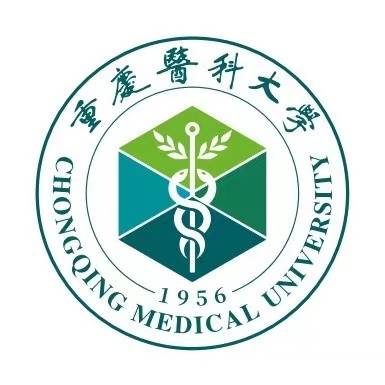 陈龙头像