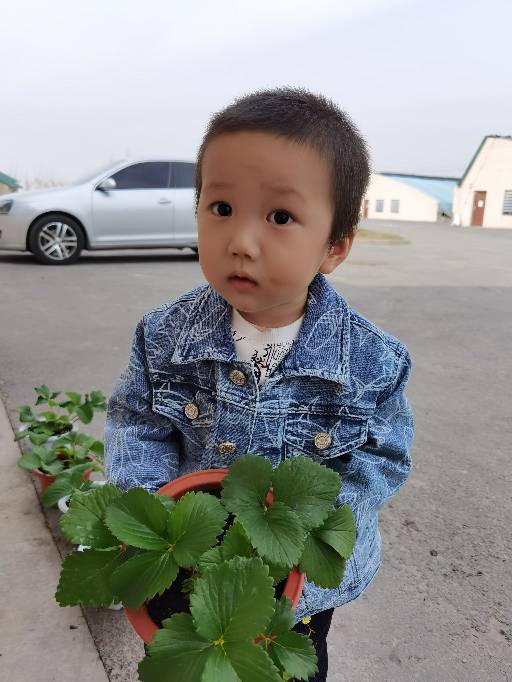 汪冰宇头像