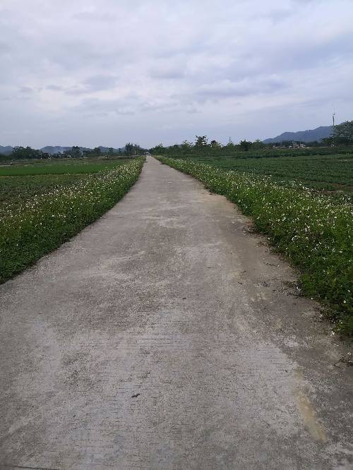 杜永其头像