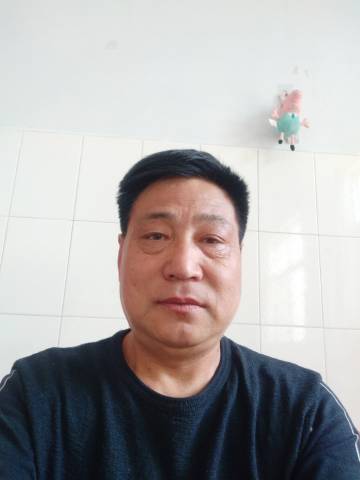 陈波波头像