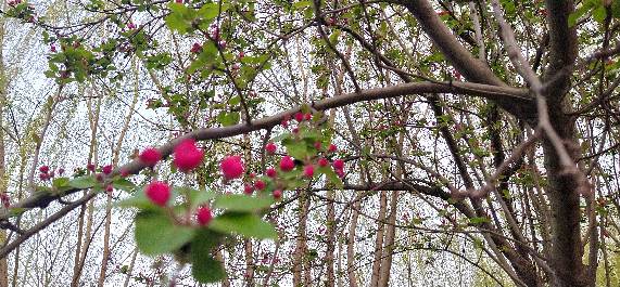朱静静头像