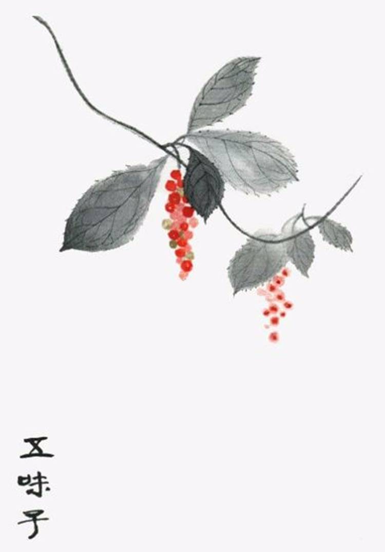 杨敏敏头像