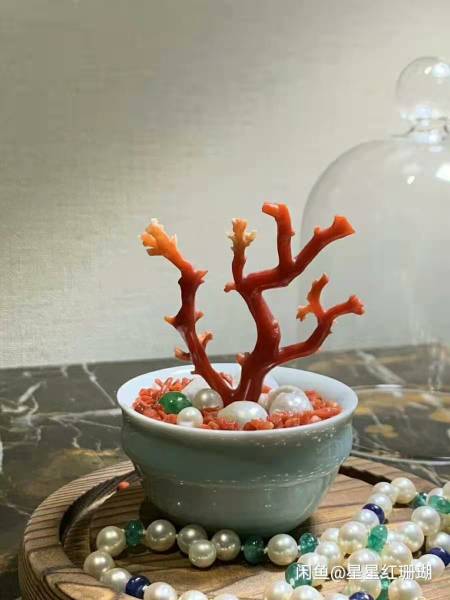 陈倩婧头像