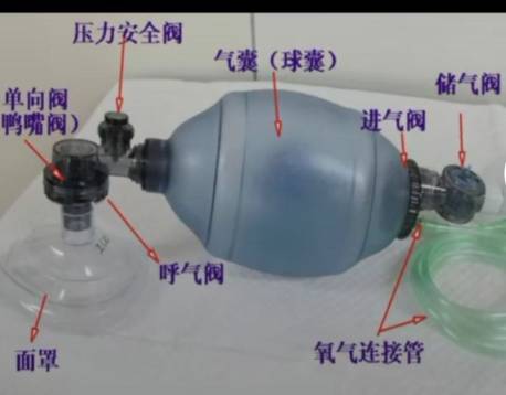 党淑容头像