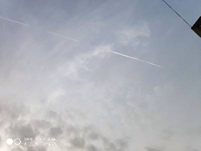 陈霞头像