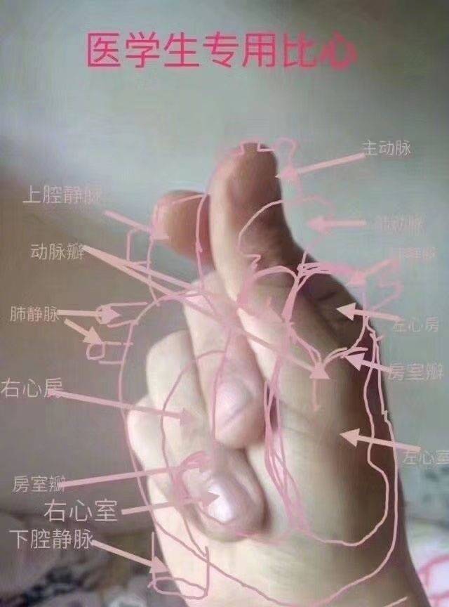 凌青寅头像