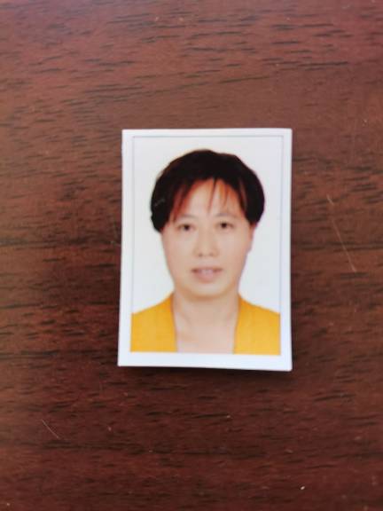 杨玉兰头像