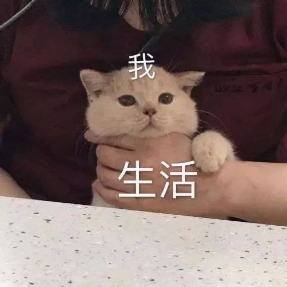 覃静头像