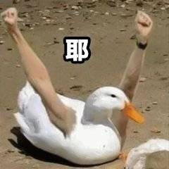 蒋晓红头像
