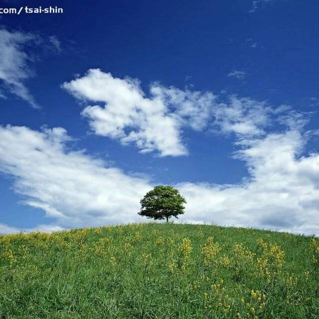 韩旭头像