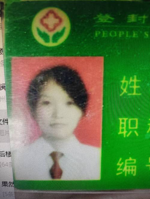 王金鸽头像