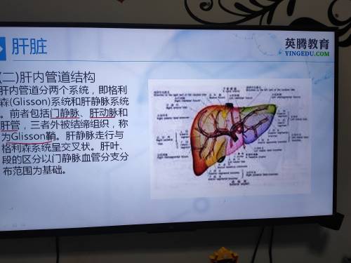 朱萍头像