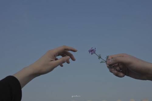 曹会琴头像
