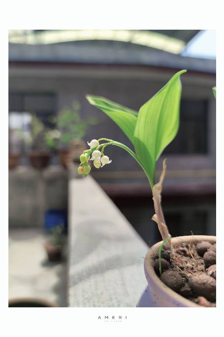 郜瑞琳头像