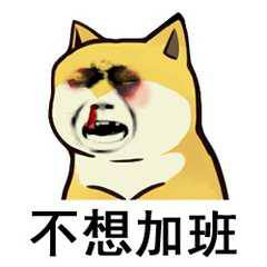 曹恺头像