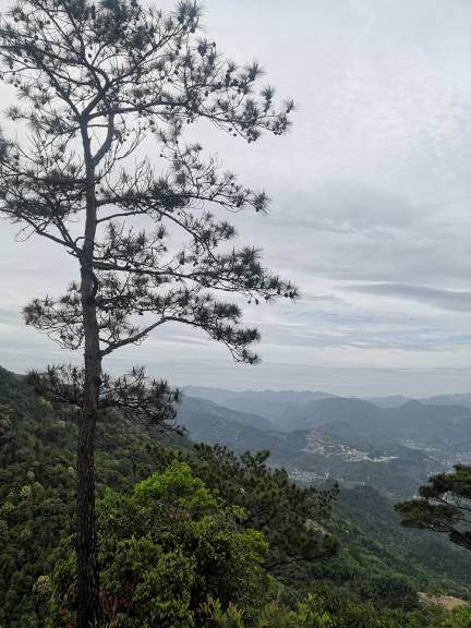 李晓津头像