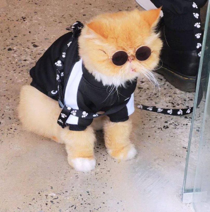 李瑞头像