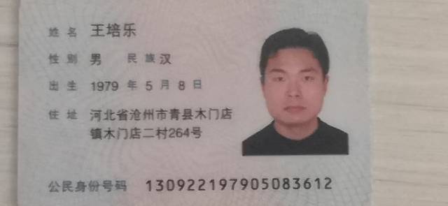 王培乐头像