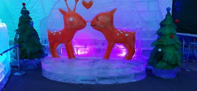 曹进征头像