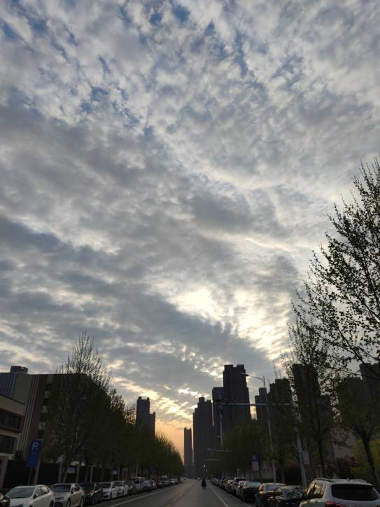 邢晓青头像